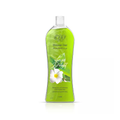 Eva Skin Care Shower Gel Nature Delight 1 L