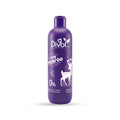 Divol Kids Shampoo with Argan Oil 450 ml